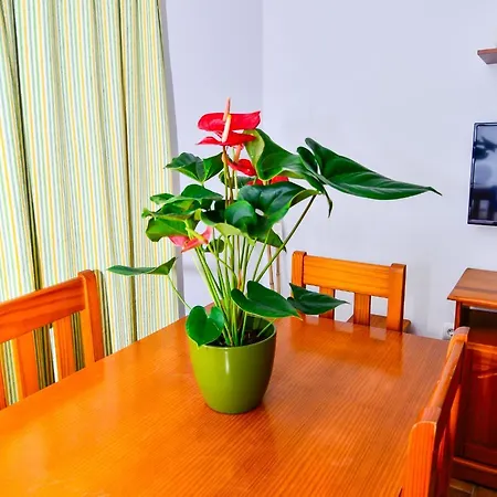 Сasa de vacaciones Casa Manoli Conil De La Frontera